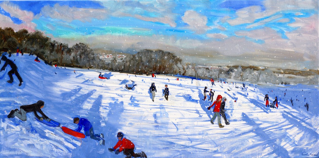 Kar fırtınaları, Allestree Park, Derby. by Andrew Macara