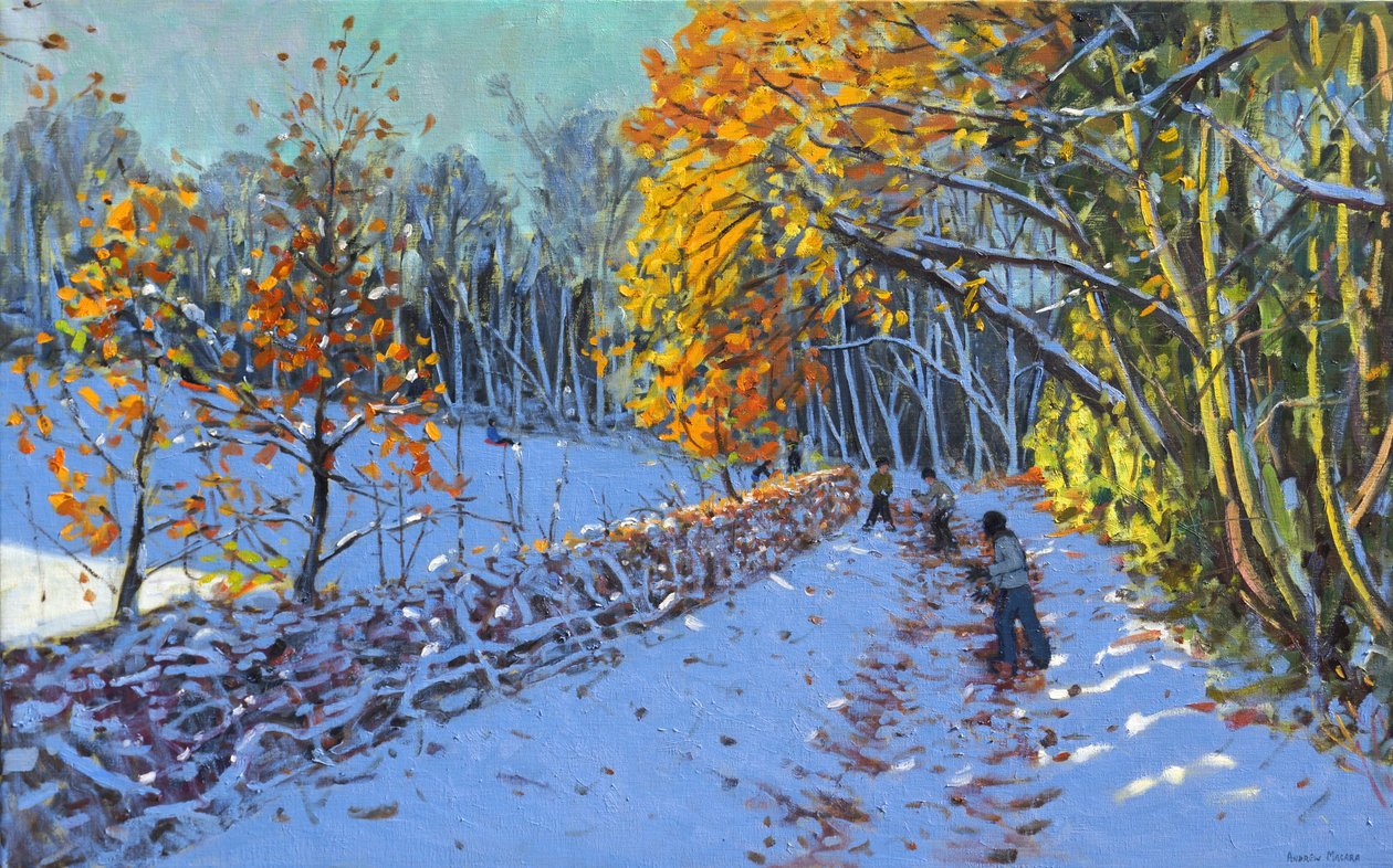 Kartopu,Allestree Park,Derbi,2014 by Andrew Macara