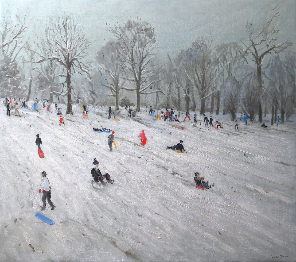 Kızaklar, Darley Park, 2009 (tuval üzerine yağlı boya) by Andrew Macara