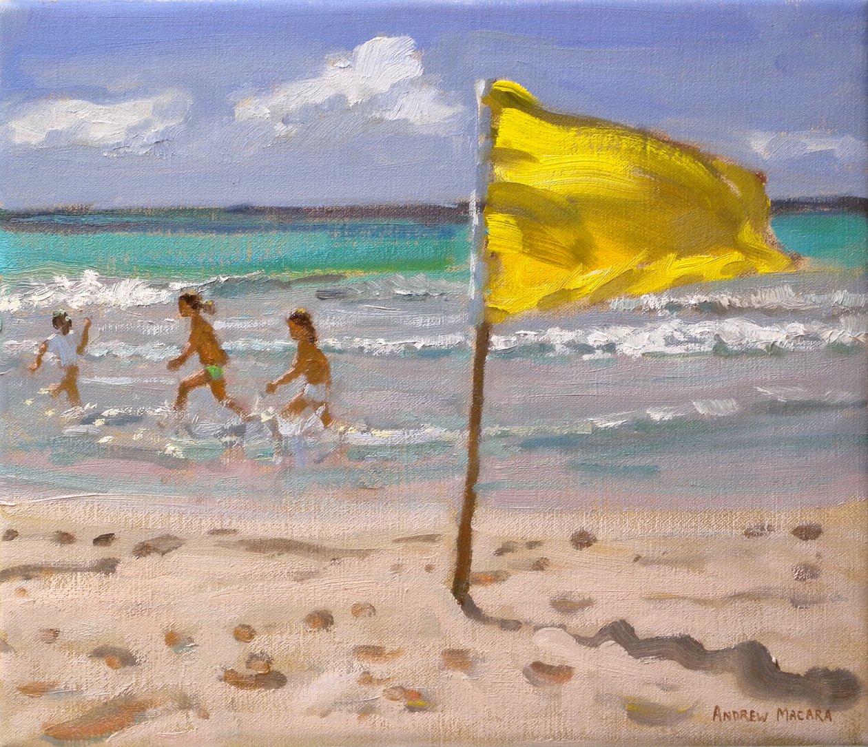 Sarı Bayrak, Barbados, 2010 by Andrew Macara
