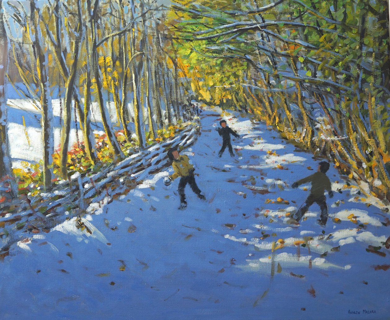 Sarı ağaçlar, Allestree Parkı, 2012 by Andrew Macara
