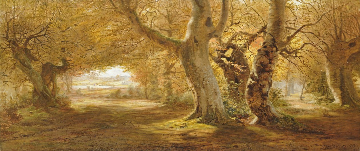 Ormanlık Bir Manzara, 1887 by Andrew McCallum
