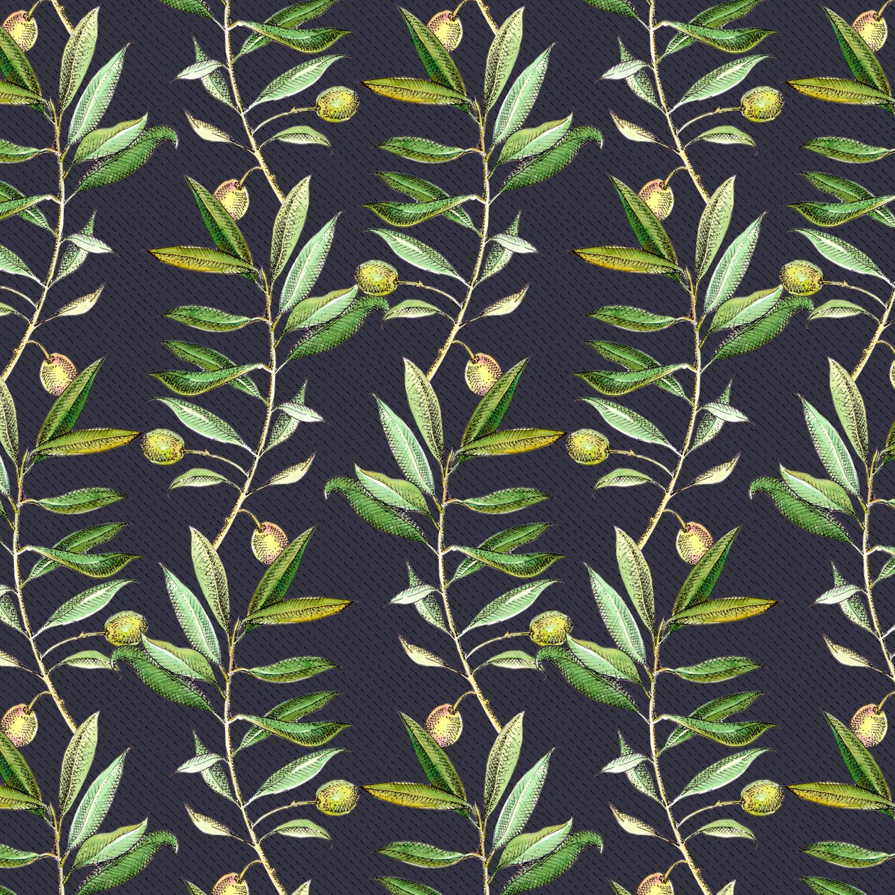 Zeytin dalları, 2017, (suluboya ve mürekkep) by Andrew Watson