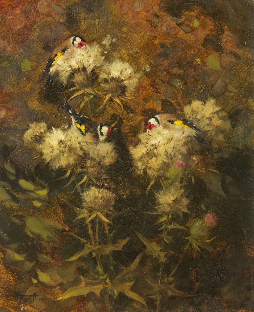 Saka Kuşu Besleme by Andrew Allan