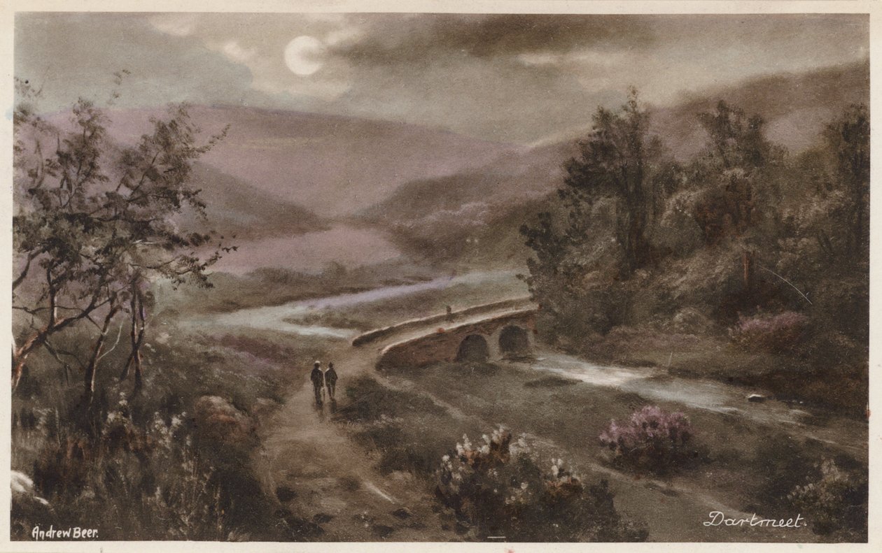 Dartmoor: Dartmeet (renkli fotoğraf) by Andrew Beer