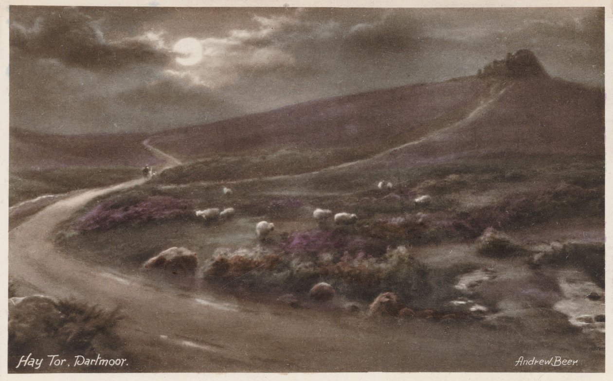 Hay Tor, Dartmoor (renkli fotoğraf) by Andrew Beer