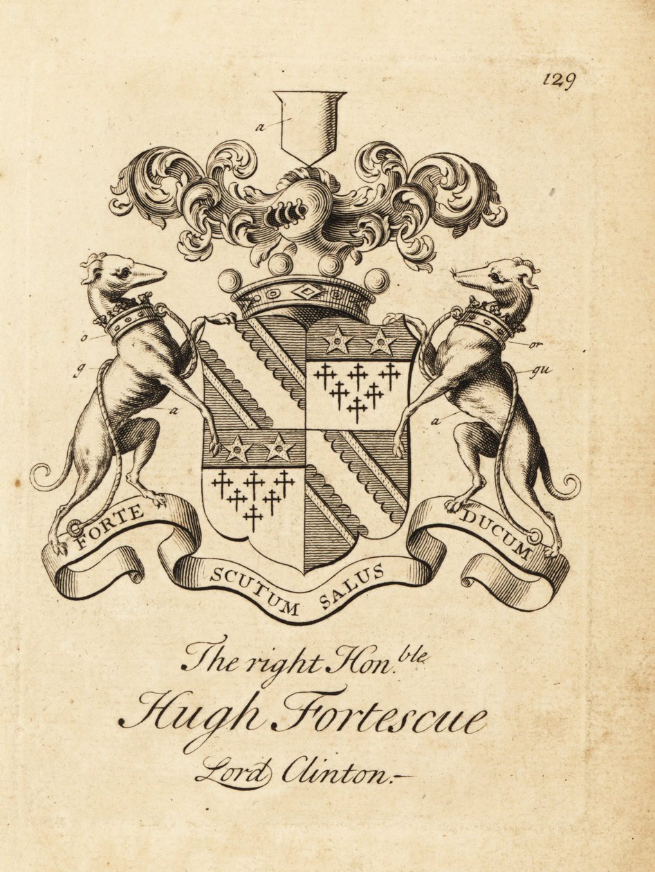 Sağ Saygıdeğer Hugh Fortescue arması by Andrew Johnston