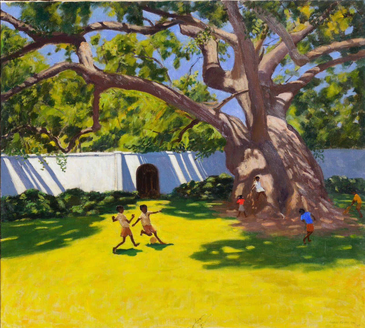 ANTİK KAFÖR AĞACI,VERGELEGEN EMLAK,GÜNEY AFRİKA by Andrew Macara