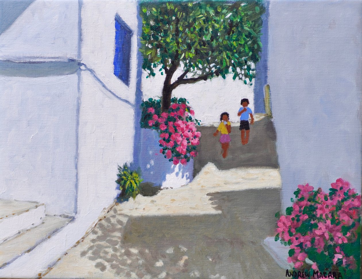  by Andrew Macara