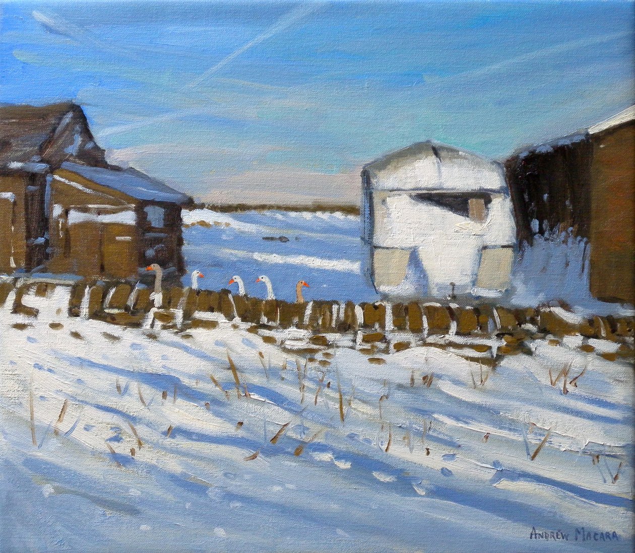 Karavan ve Kazlar, Derbyshire, 2011 (tuval üzerine yağlı boya) by Andrew Macara