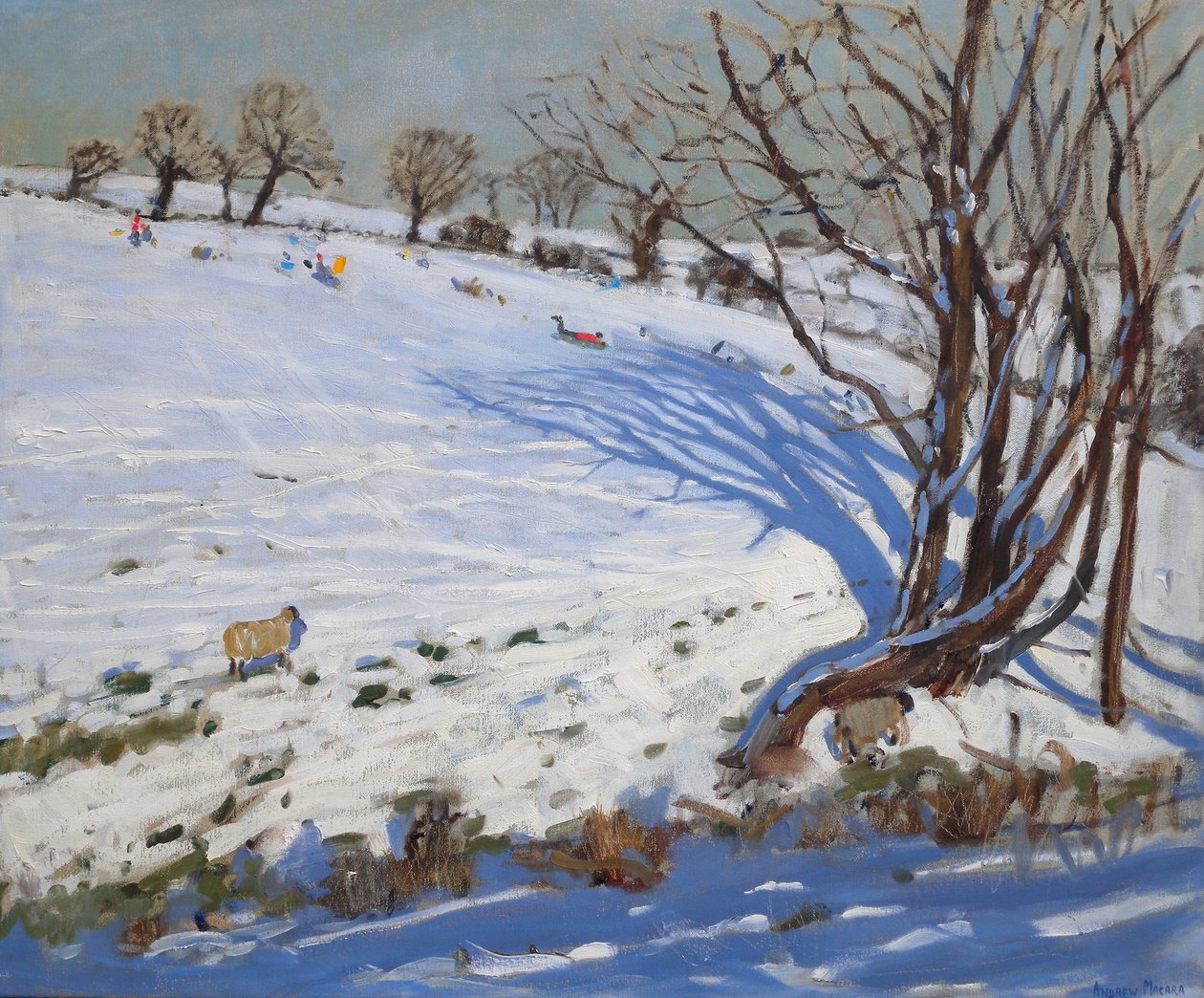  by Andrew Macara