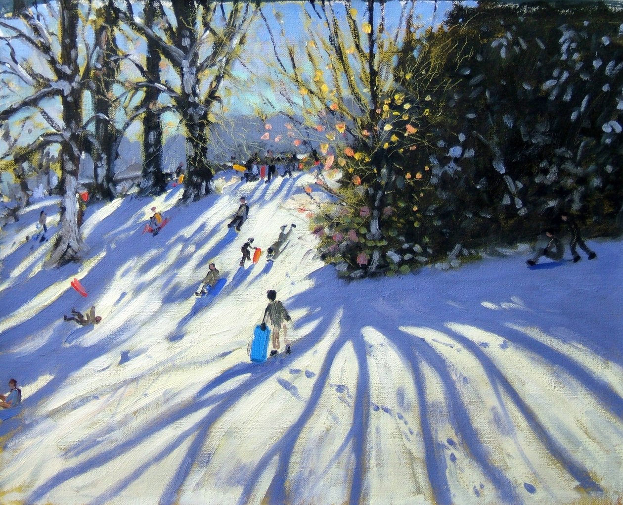Erken kar, Darley Park by Andrew Macara