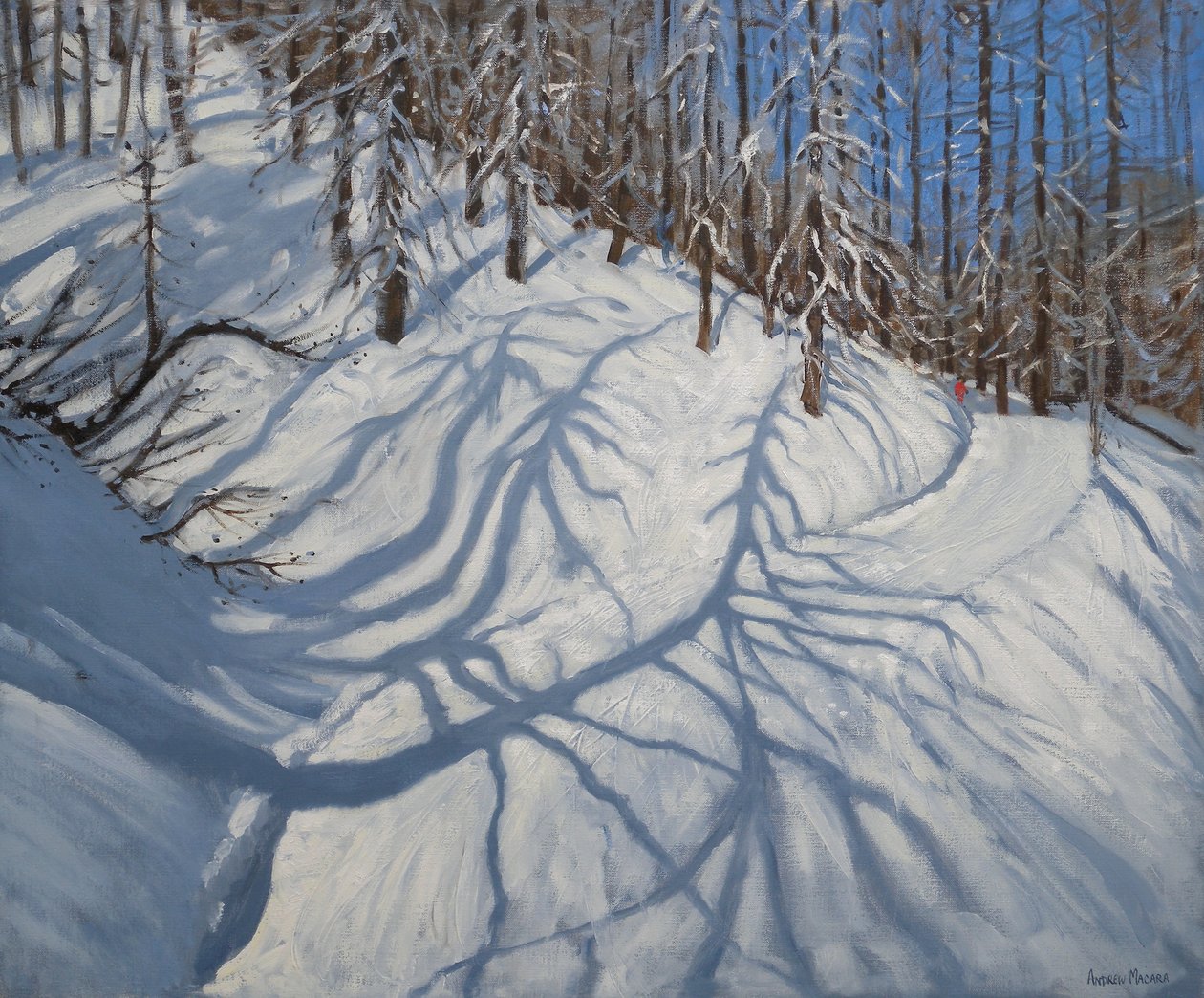 Köknar Ağacı Gölgeleri, Tignes, 2009 by Andrew Macara