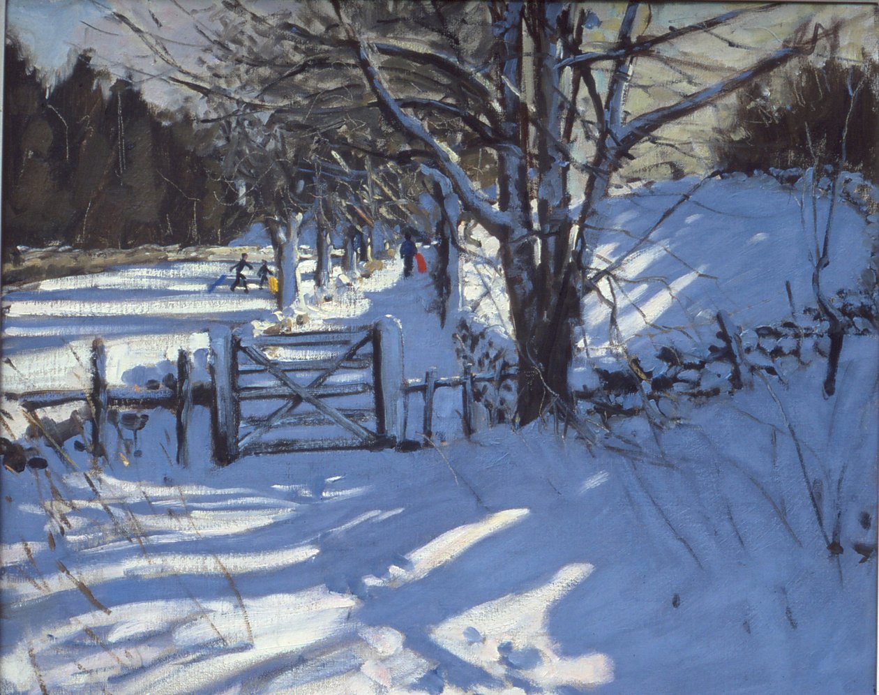 Youlgreave, Derbyshire yakınlarındaki kapı by Andrew Macara