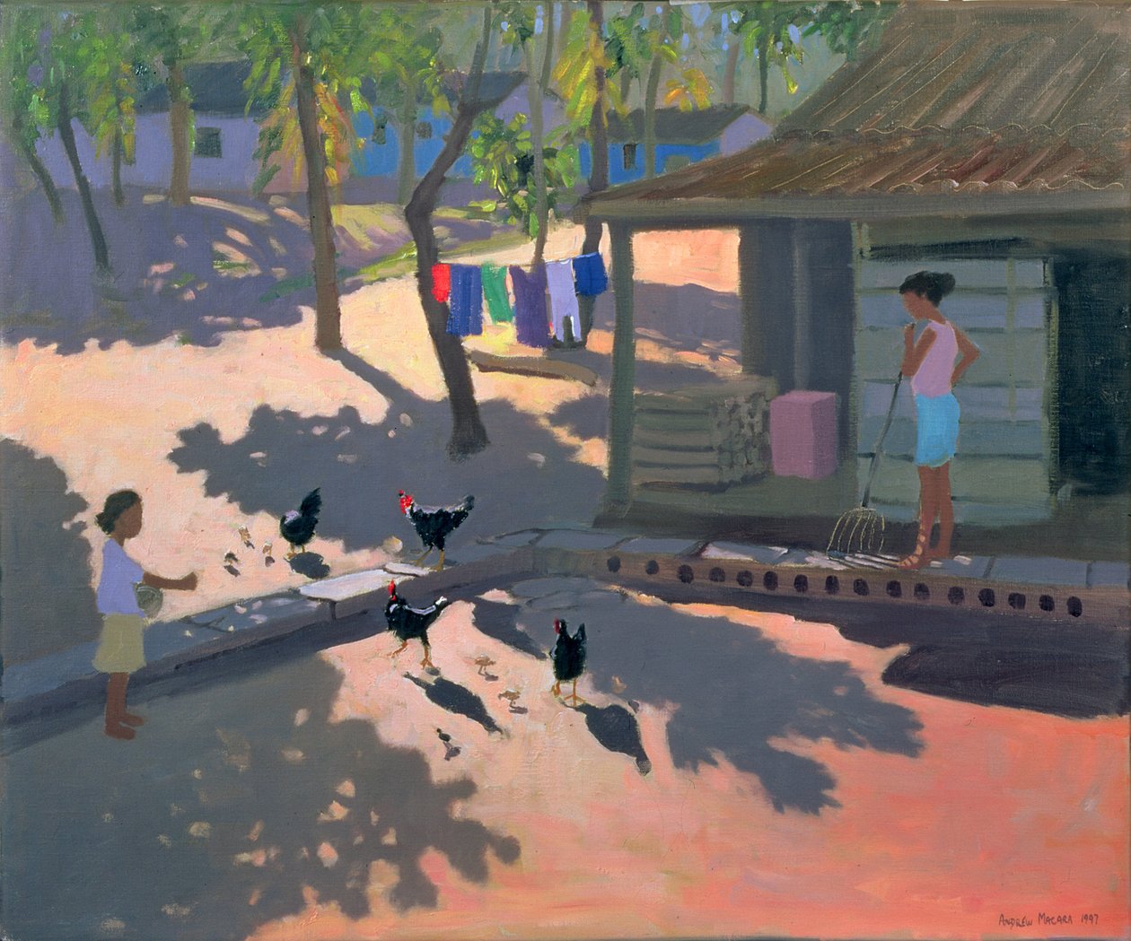 Tavuklar ve Tavuklar, Küba, 1997 by Andrew Macara