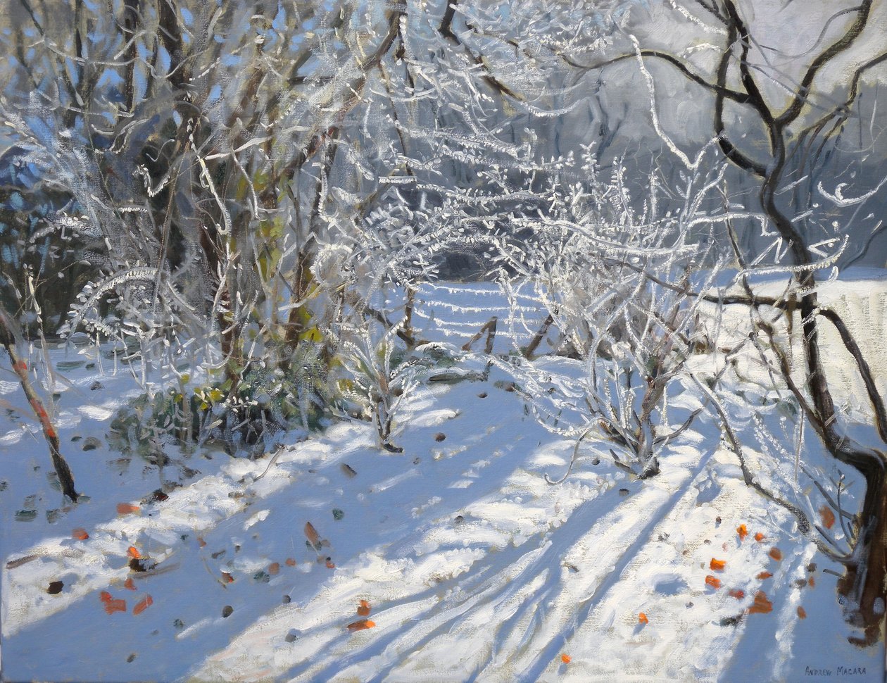 Kırağı Frost, 2011 by Andrew Macara