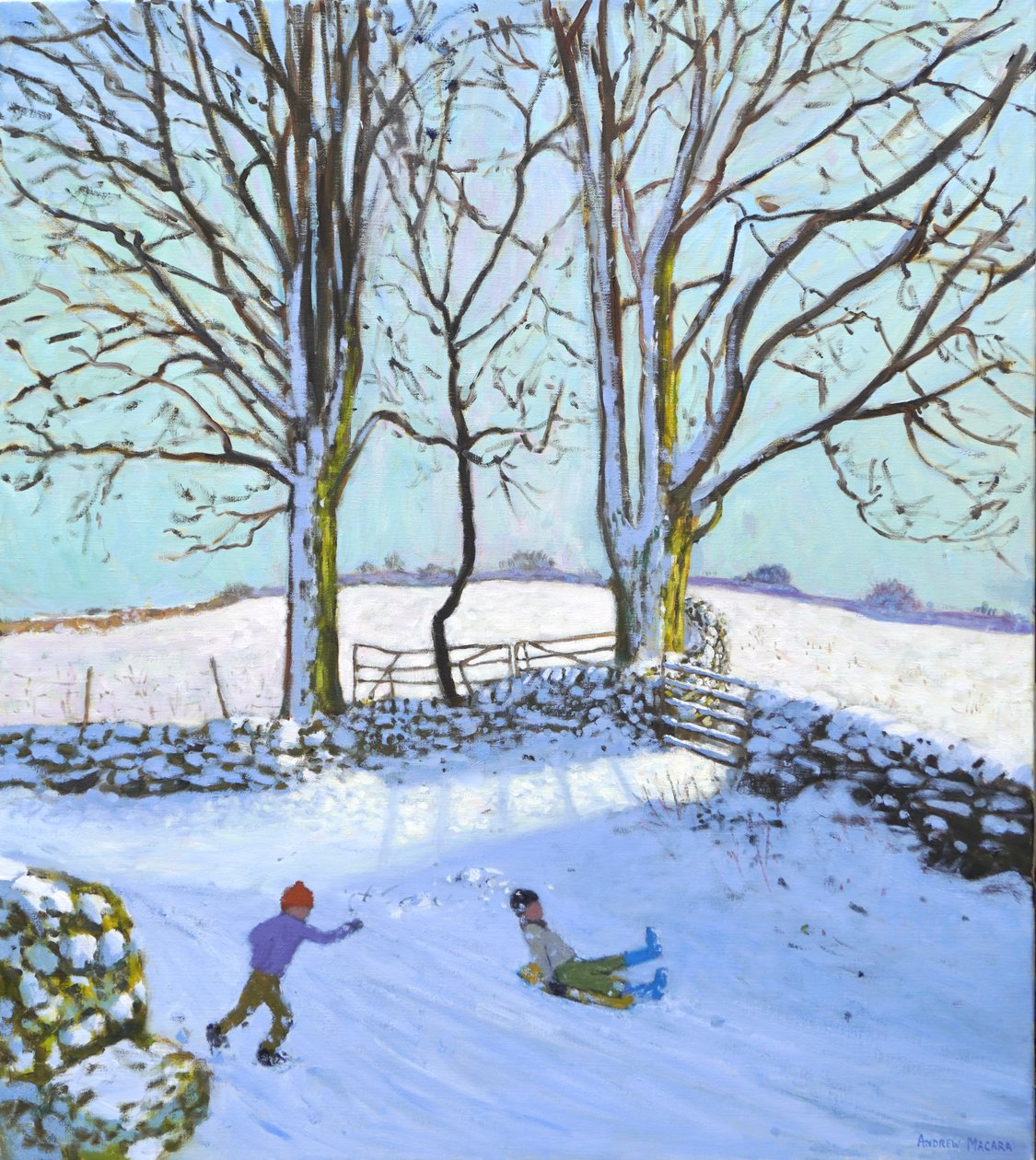  by Andrew Macara