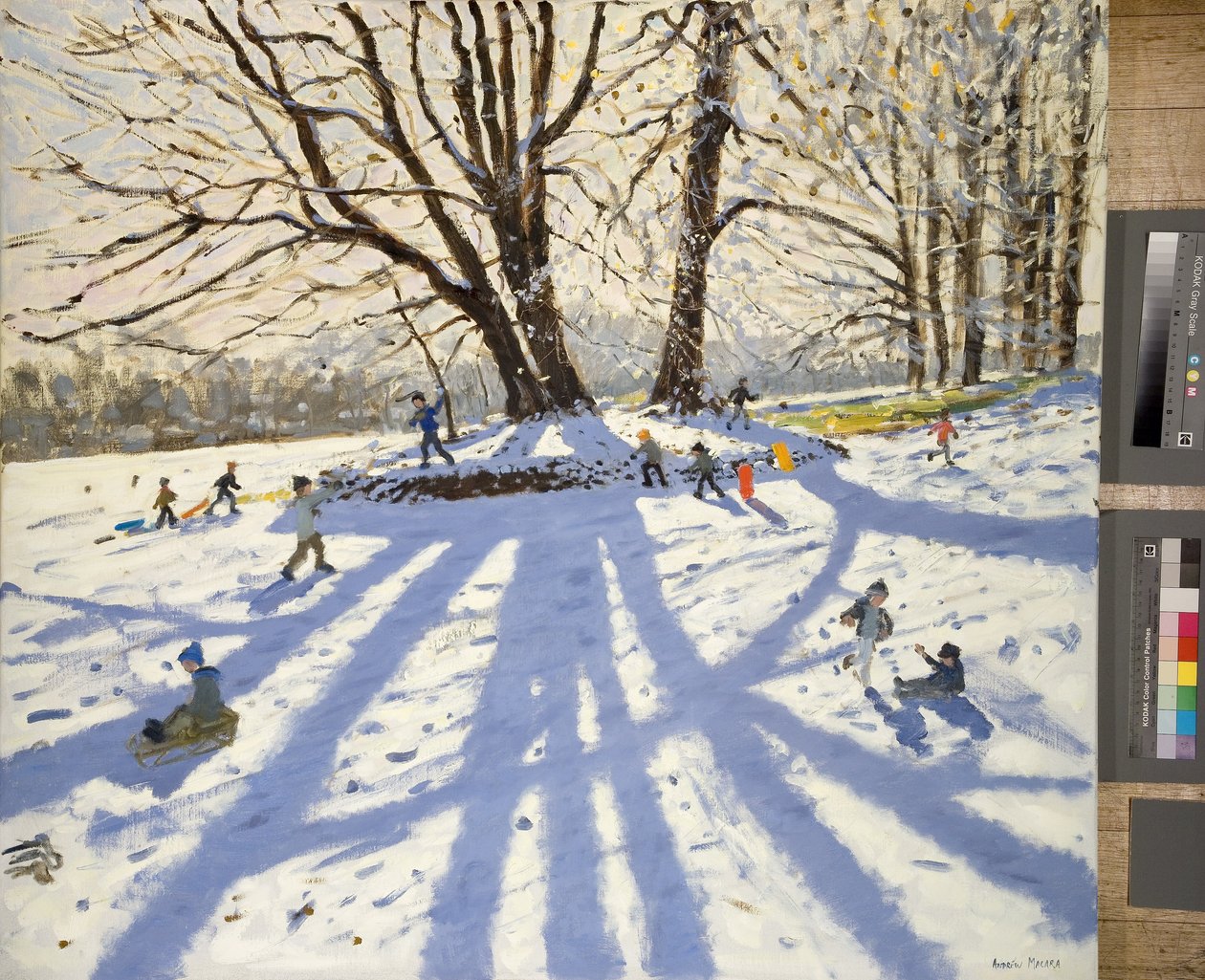 Lomberdale Salonu, Derbyshire by Andrew Macara