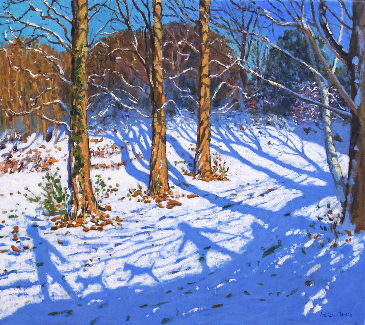 Kasım karı, Allestree Park, Derby, 2017, by Andrew Macara