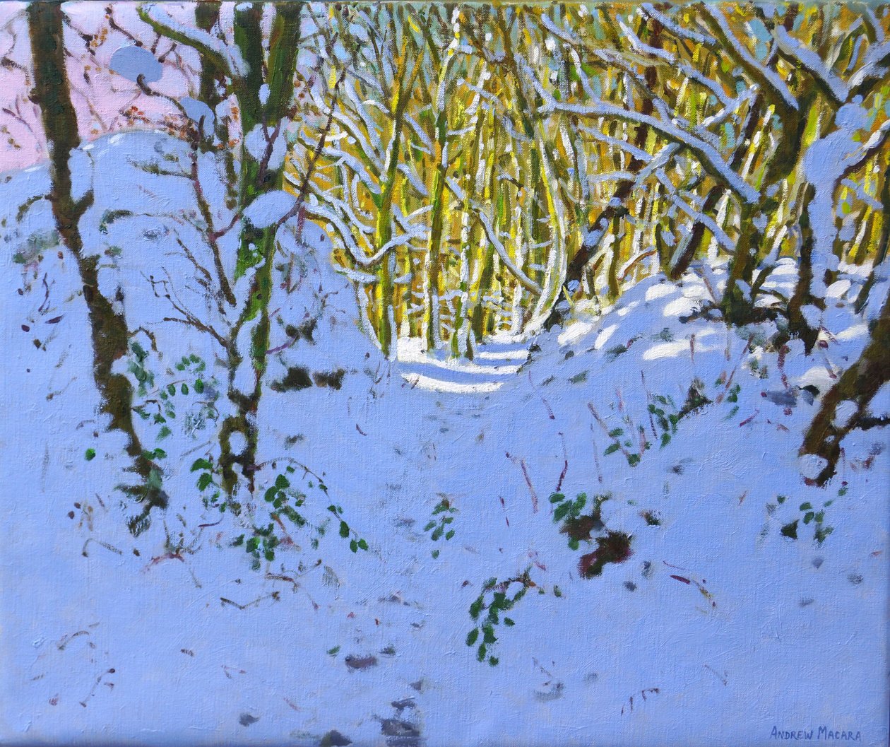 Kışın ormanda yol, Derbyshire, (tuval üzerine yağlı boya) by Andrew Macara