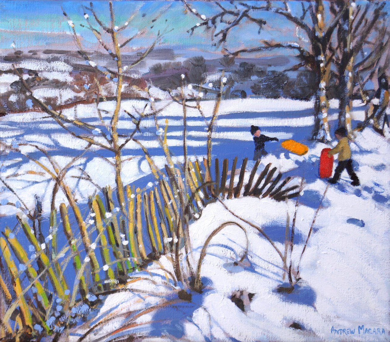 Kırmızı ve turuncu kızaklar, Derbyshire, 2017, by Andrew Macara