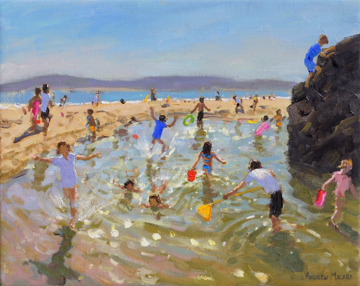 Kaya havuzu.Tenby,2016 by Andrew Macara