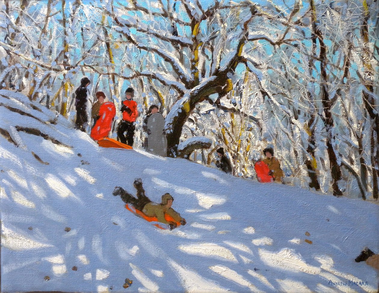 Kızak, 2010 (tuval üzerine yağlı boya) by Andrew Macara