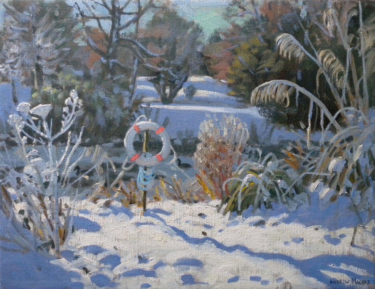  by Andrew Macara