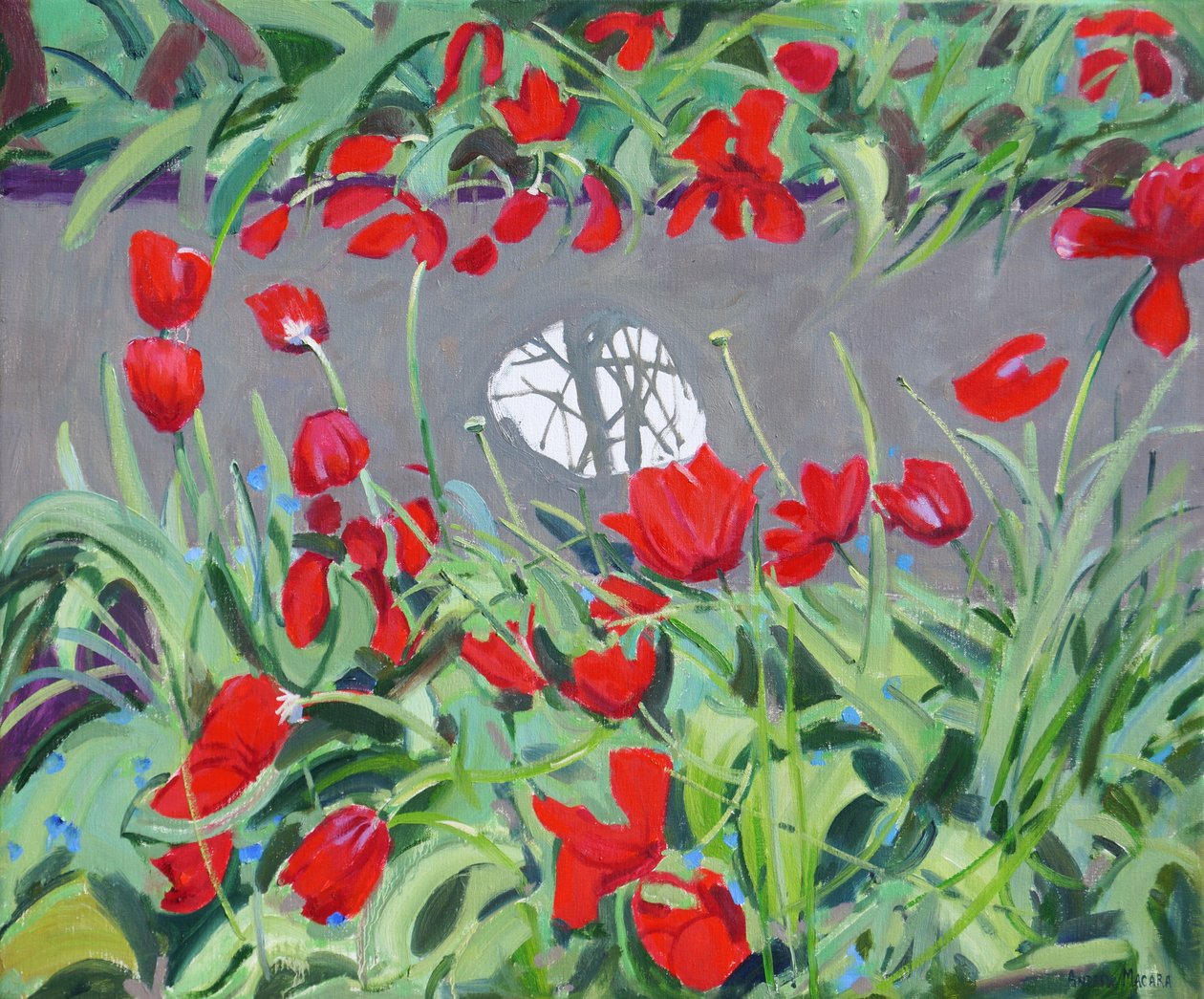 Laleler ve yansıma,2017, by Andrew Macara