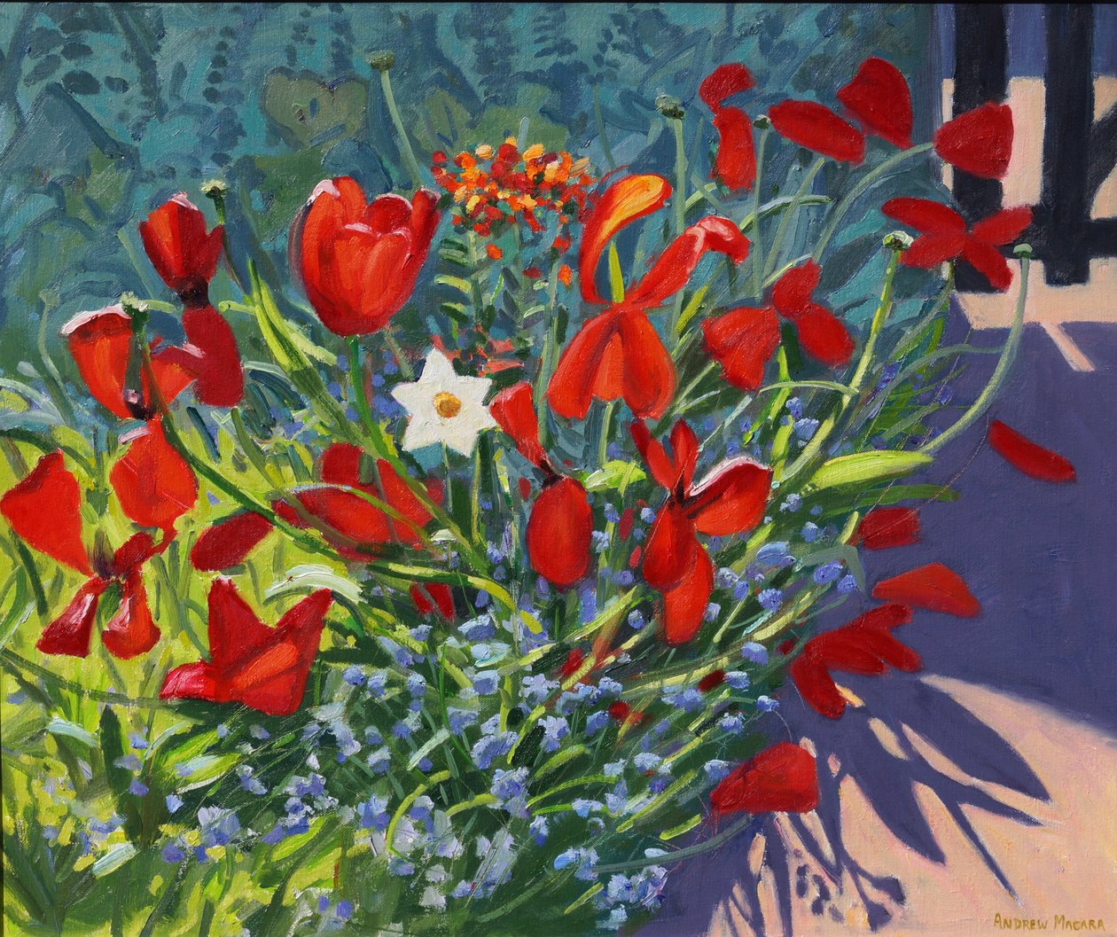 Kapıdaki Laleler,2017, by Andrew Macara
