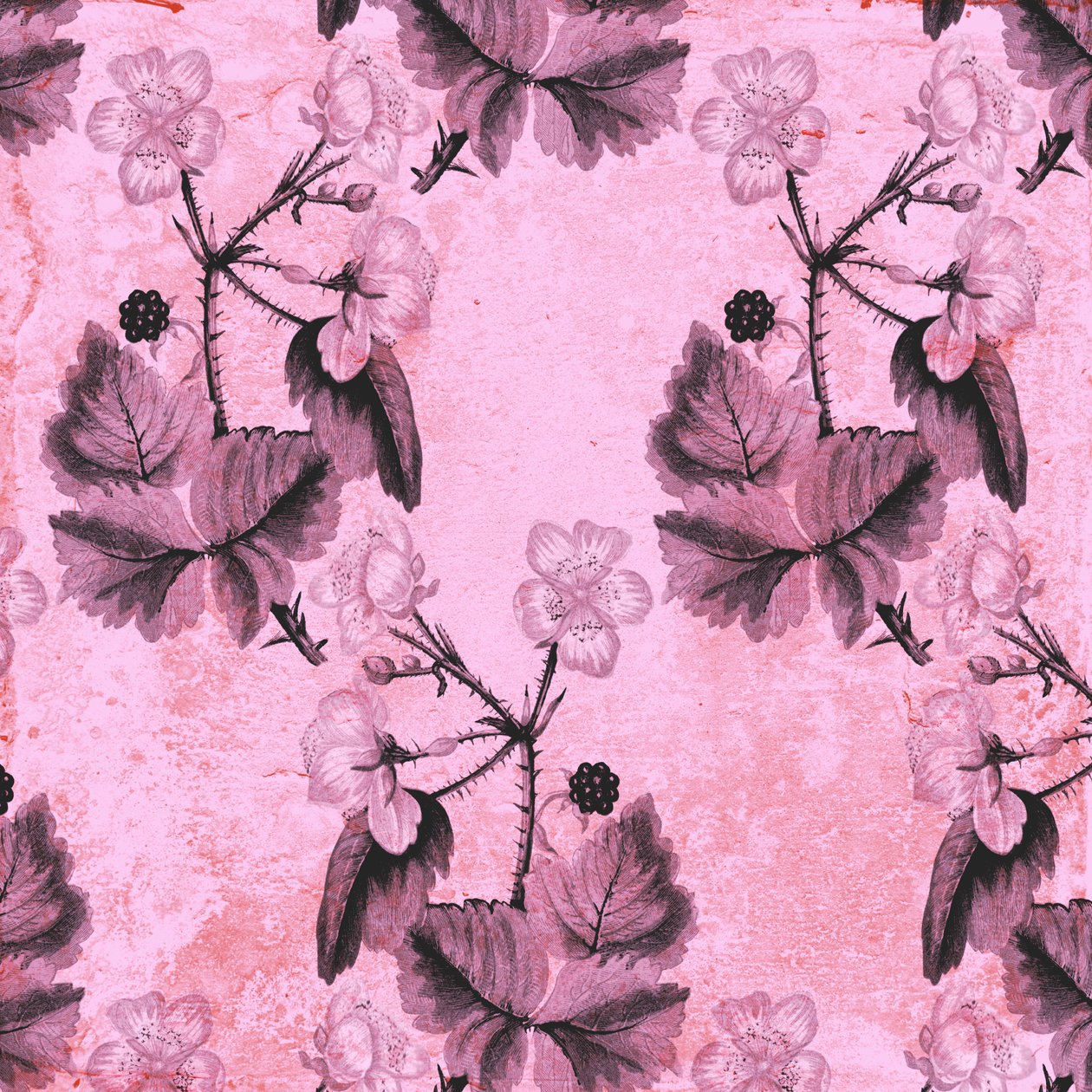 Blackberry Floral, 2017, suluboya ve dijital by Andrew Watson