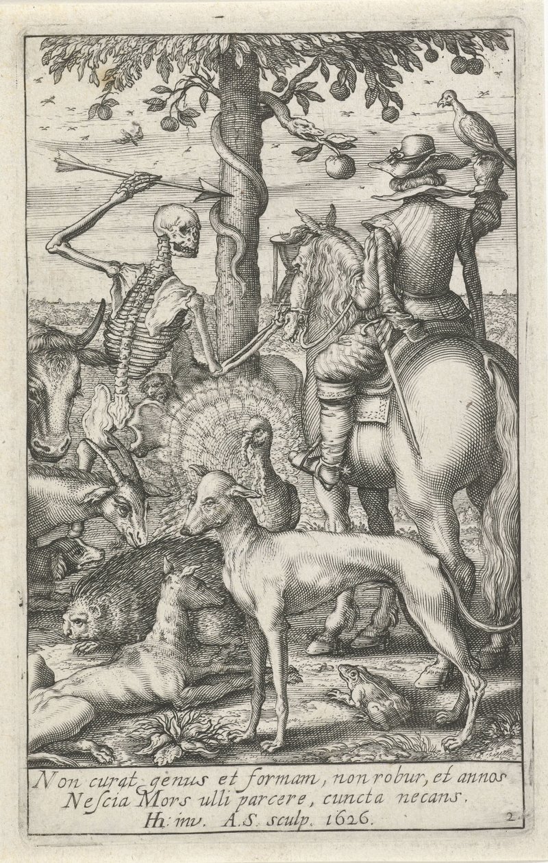 Hayvanların ortasında ok ve şahin ile iskelet Hayvan İskeletleri (dizi başlığı) by Andries Jacobsz. Stock