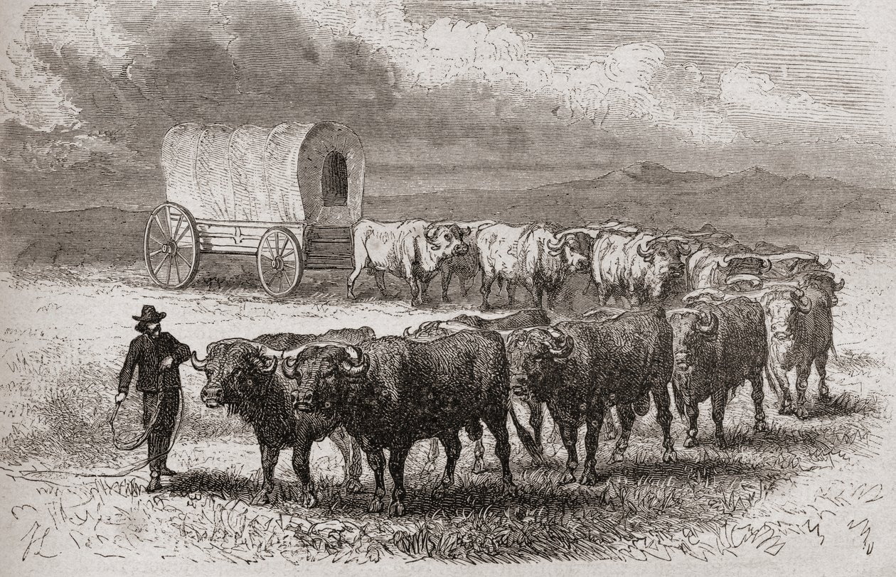 1867