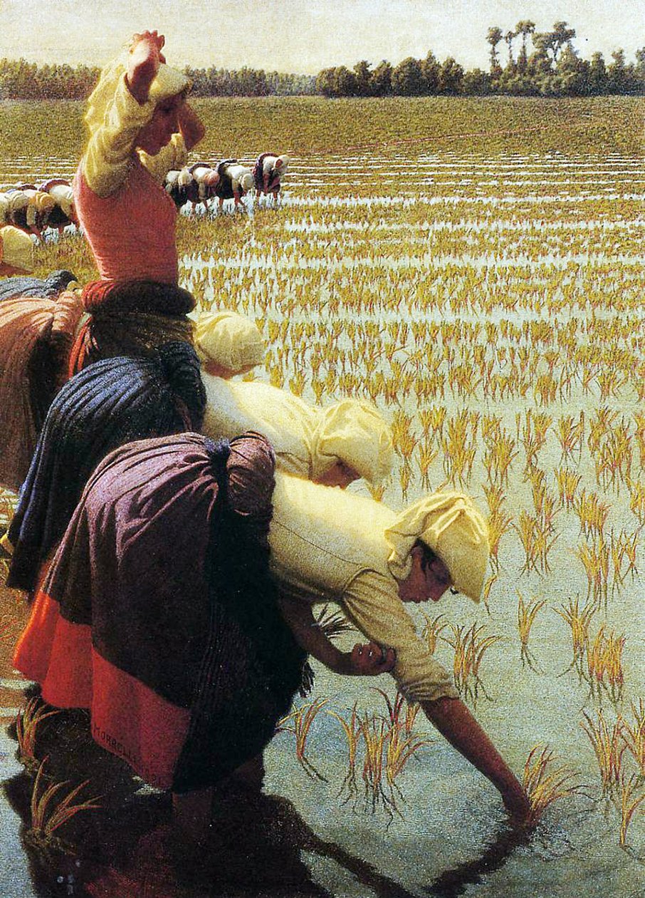 Bir İtalyan Pirinç Tarlası, 1901 by Angelo Morbelli