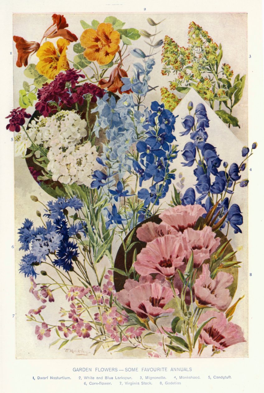  by Angelo Fairfax Muckley