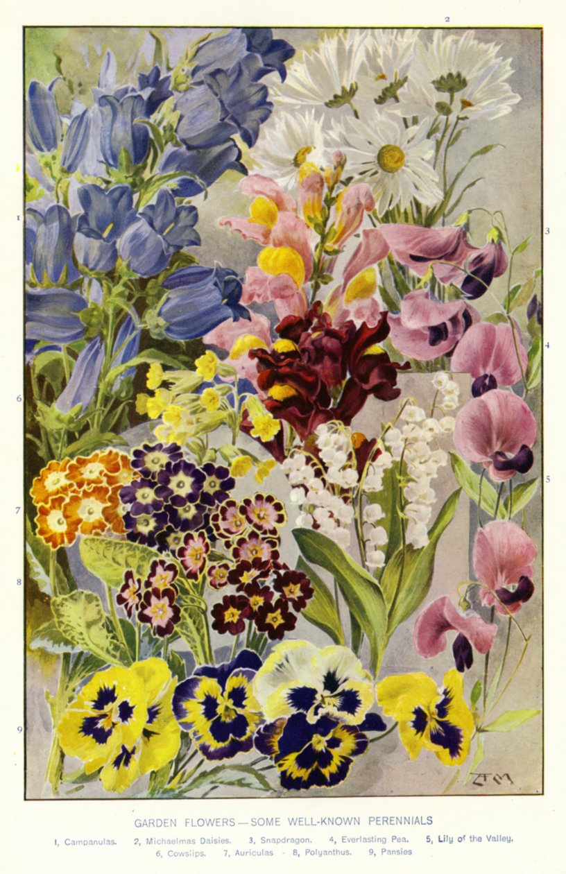  by Angelo Fairfax Muckley