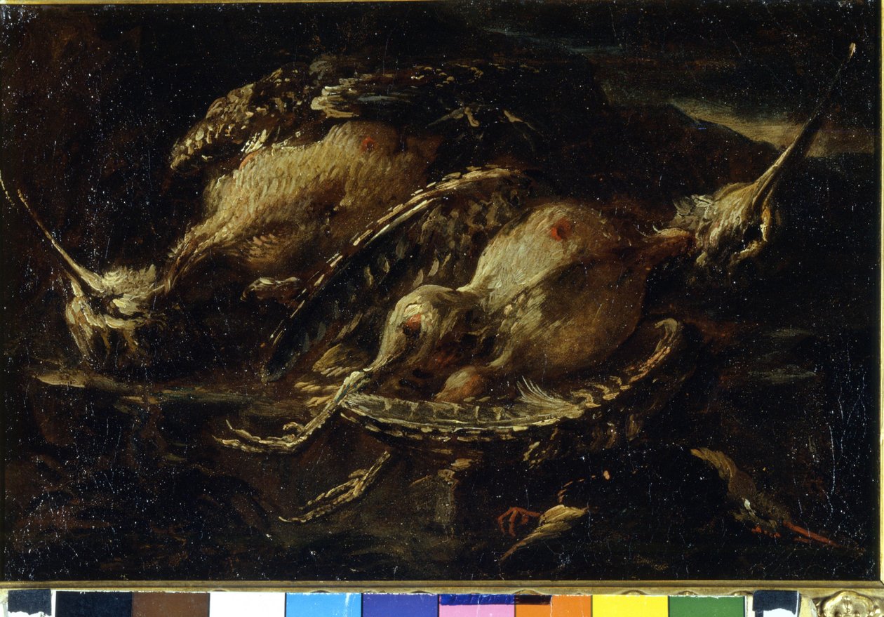 Kuşların natürmort. Angelo Maria Crivellone tarafından yapılan resim (? - 1730/60?). Milano, CRA. by Angelo Maria Crivelli