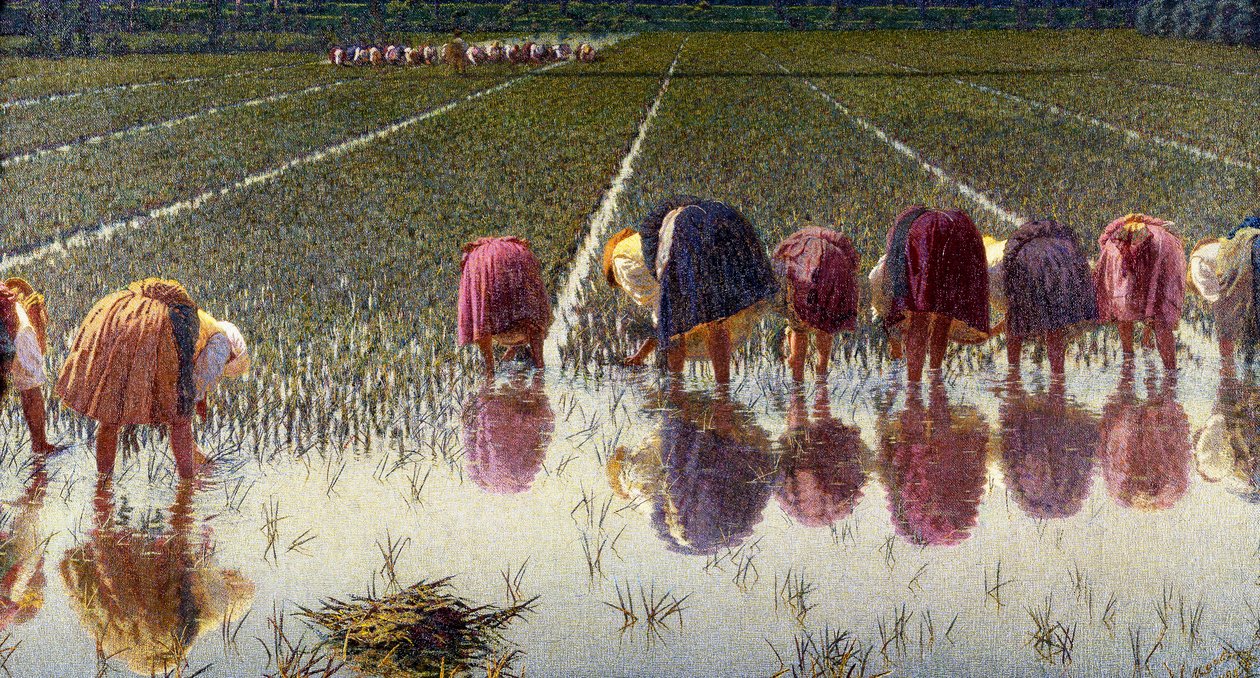 seksen kuruş için by Angelo Morbelli