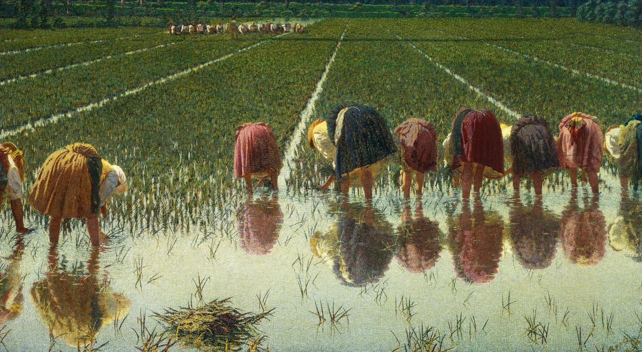 Seksen kuruşa, Angelo Morbelli (1853-1919), Tuval üzerine yağlı boya, 67,5x124,5 cm by Angelo Morbelli