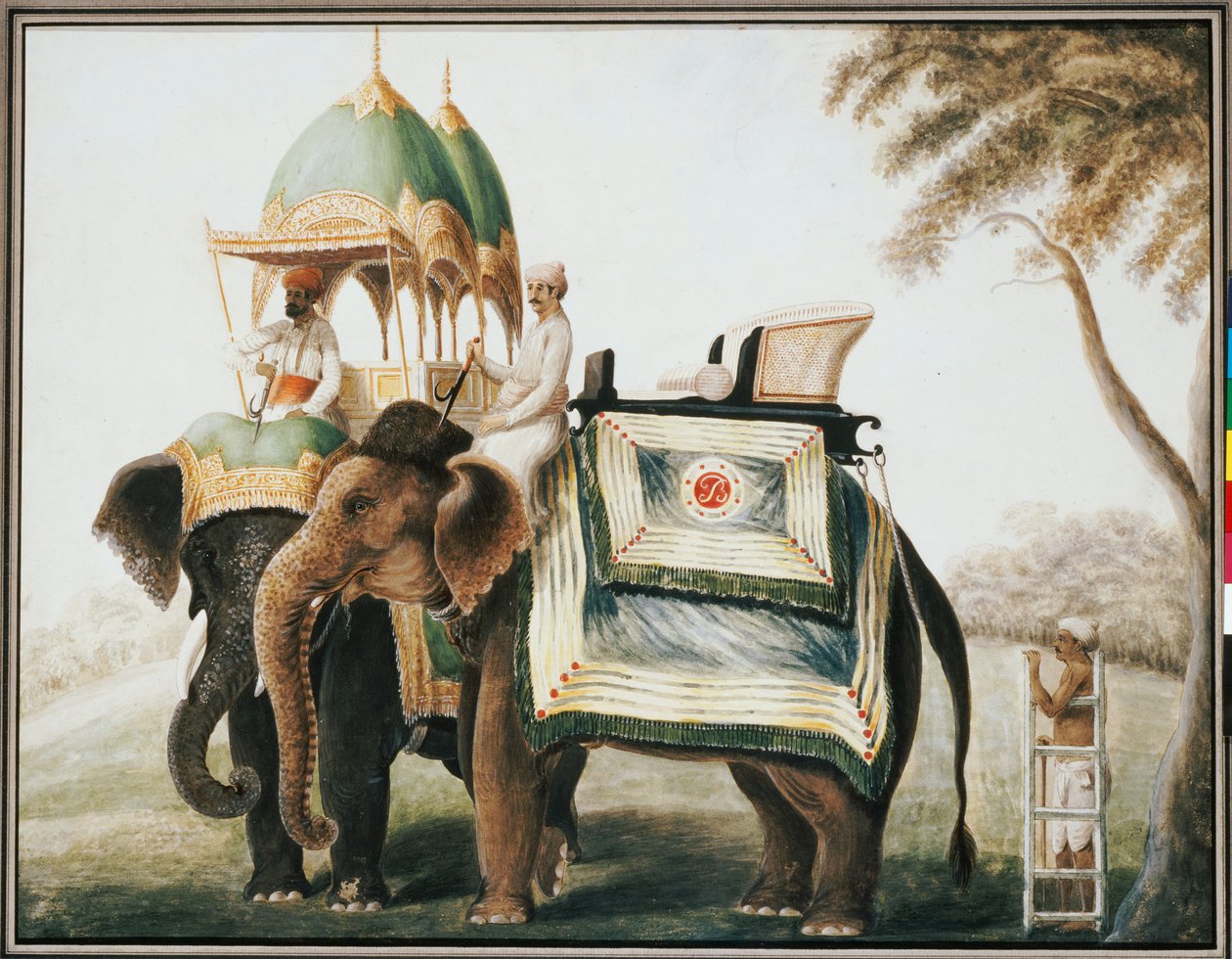 Filler, mahutlarıyla, c.1815 by Anglo Indian School