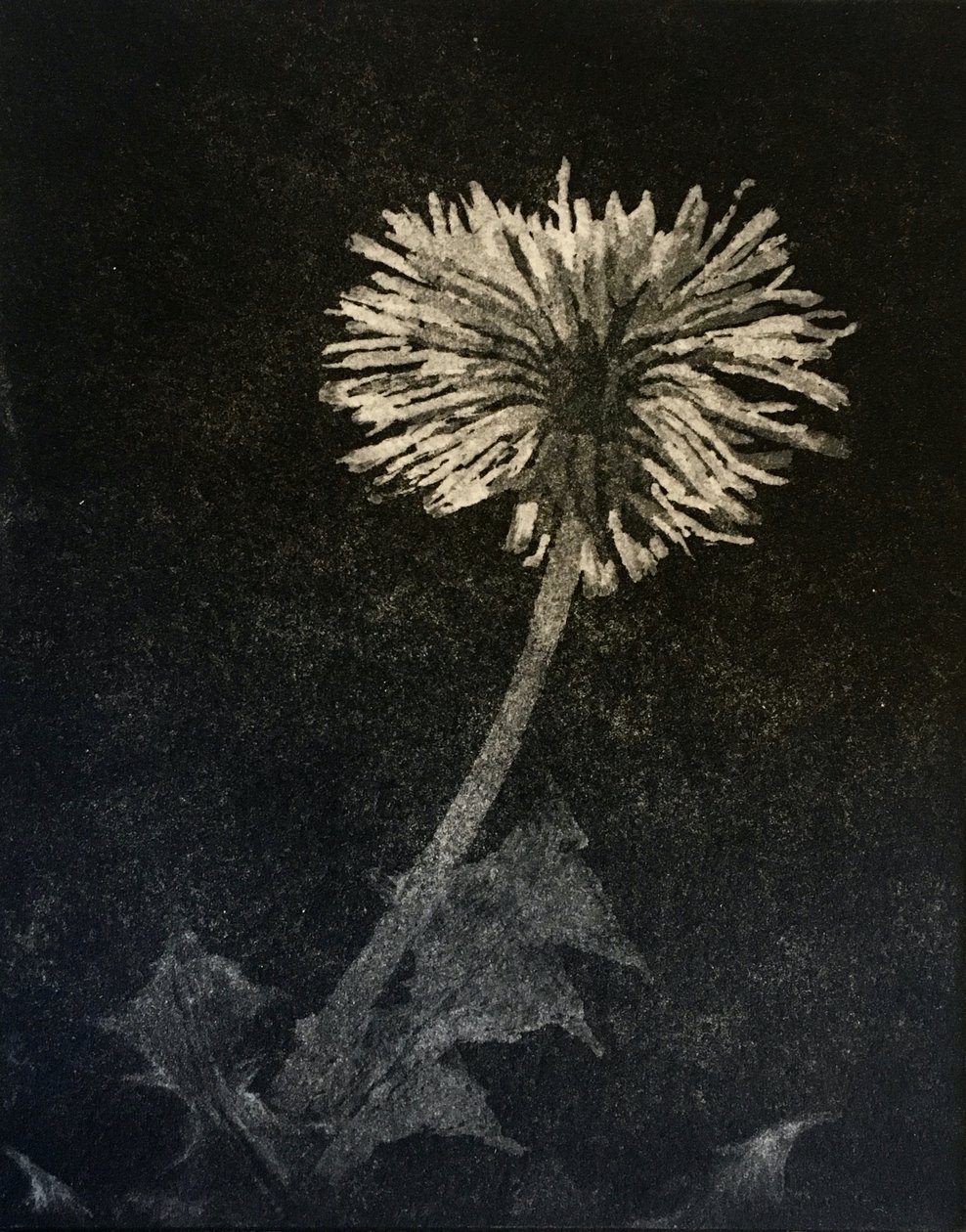 Hope, 2019 (kağıt üzerinde gravür ve aquatint) by angus hampel