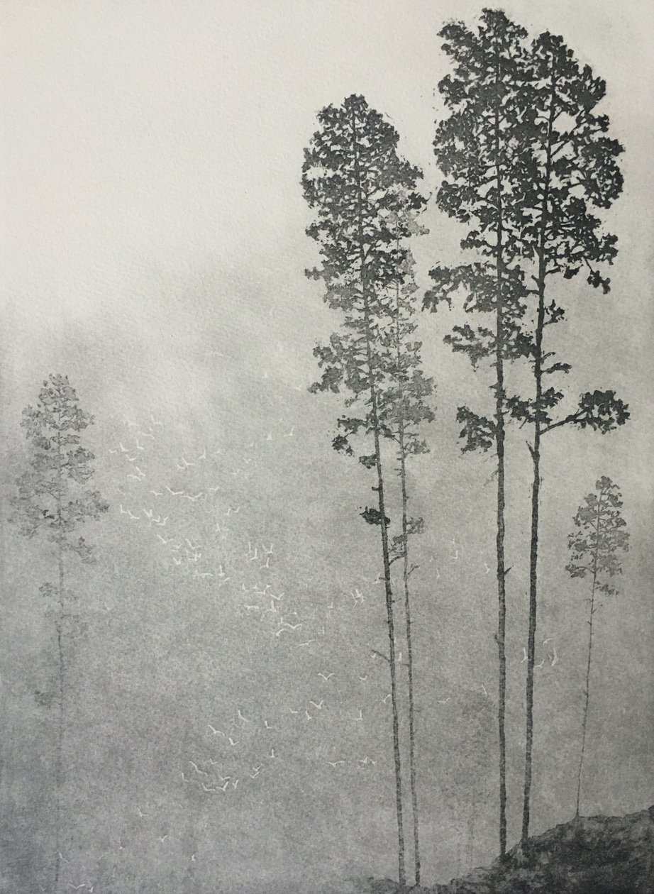 Yapraklar dövülür, kanatlar hışırdar, 2021 (kağıt üzerine gravür ve aquatint) by angus hampel