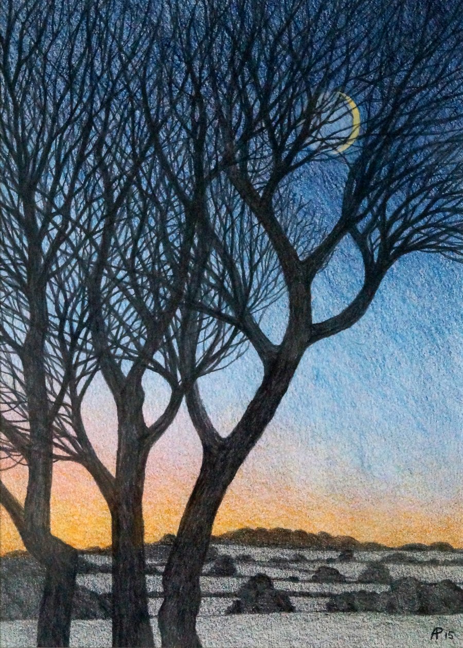Ağaçlar ve Ay, 2015 (kağıt üzerinde karışık teknik) by Anna Phillips