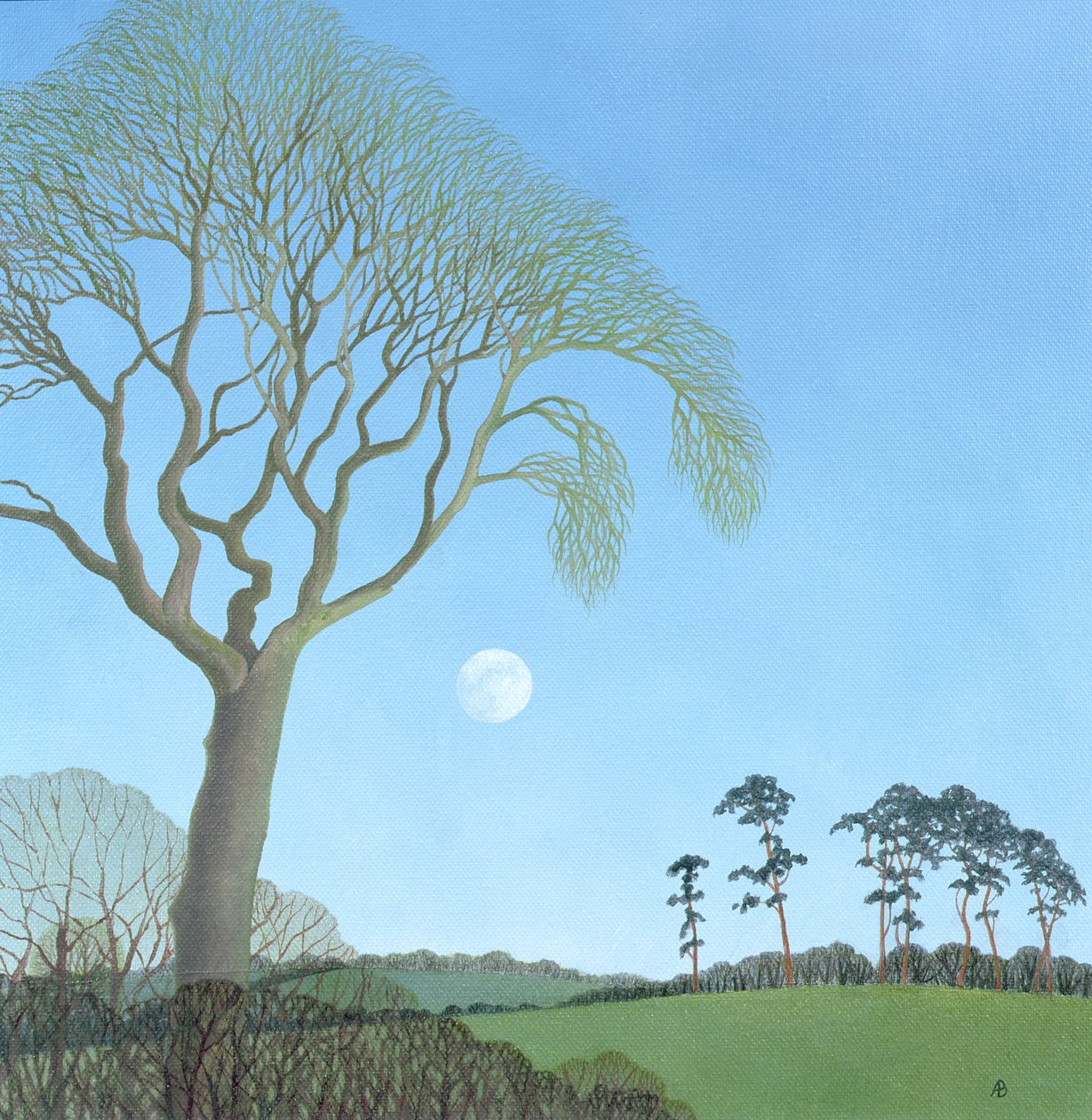 Erken Ay, 2007 by Anna Phillips