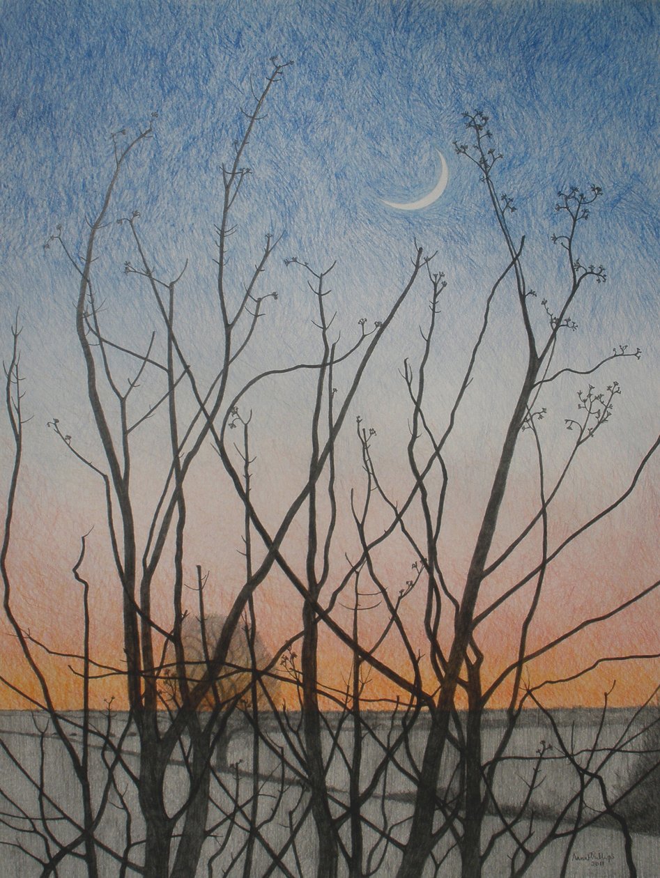 Penceremden, 2011 (kağıt üzerine renkli kalem) by Anna Phillips