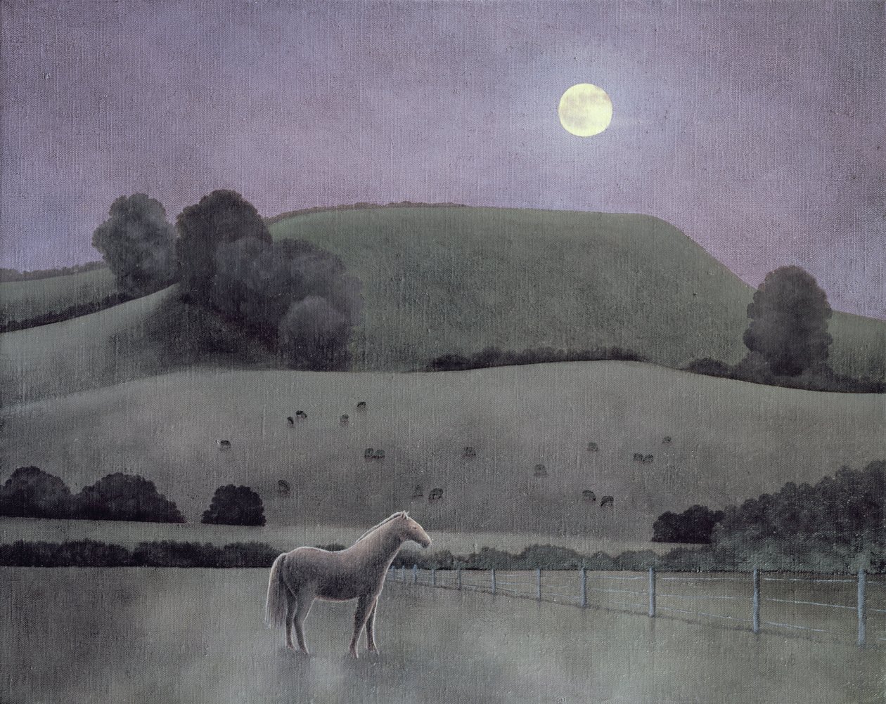 Ay Işığında At, 2005 by Anna Phillips