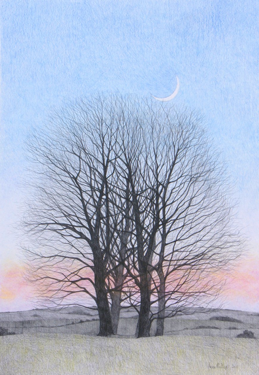 Yeni Ay, 2011 (kağıt üzerine renkli kalem) by Anna Phillips