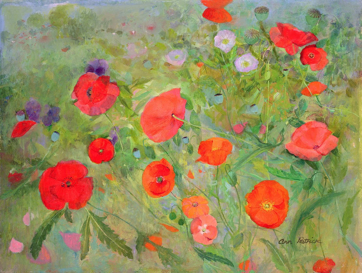 Arpeggiando, 1998 by Ann Patrick