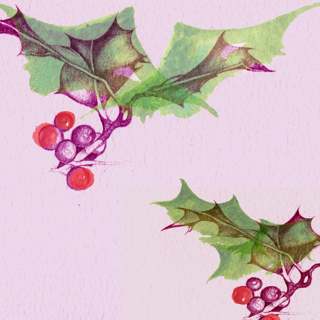 çobanpüskülü by Anna Platts