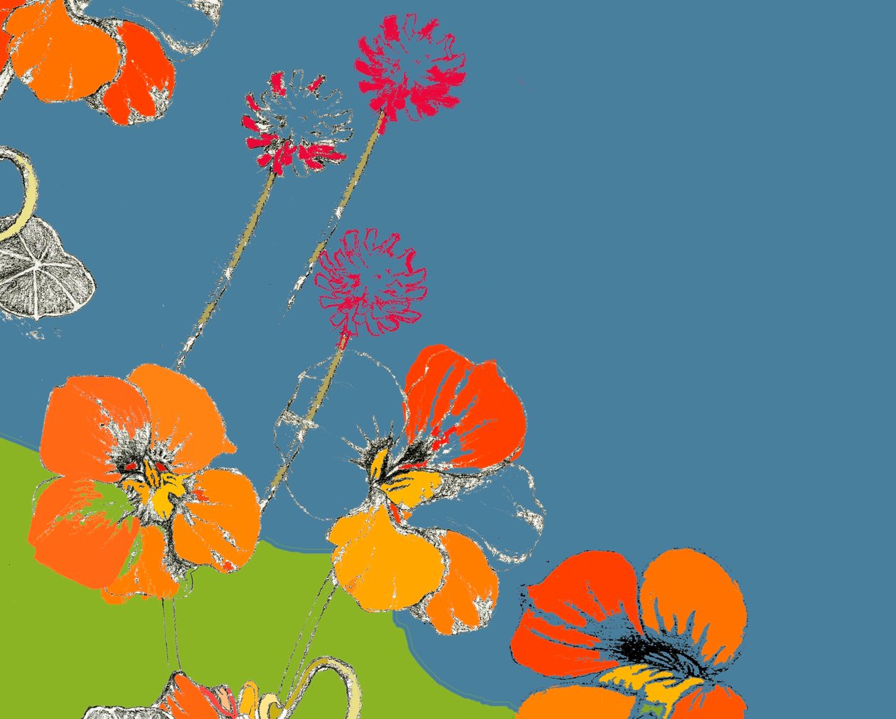 nasturtium by Anna Platts